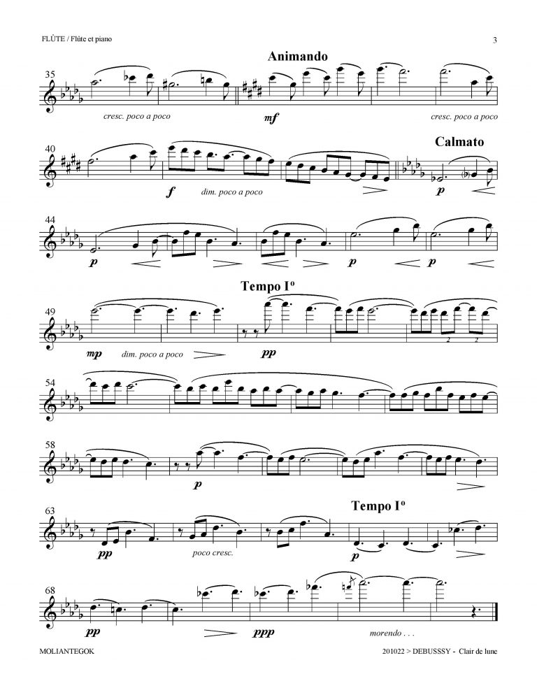 Clair de Lune Violin Sheet Music | Free Sheet Music